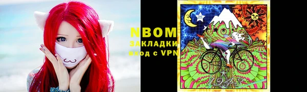 тгк Алзамай