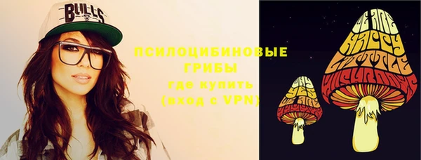 твердый Алексин