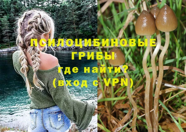 тгк Алзамай