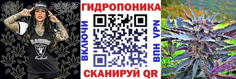 продажа наркотиков  Болгар  Шишки марихуана THC 21% 